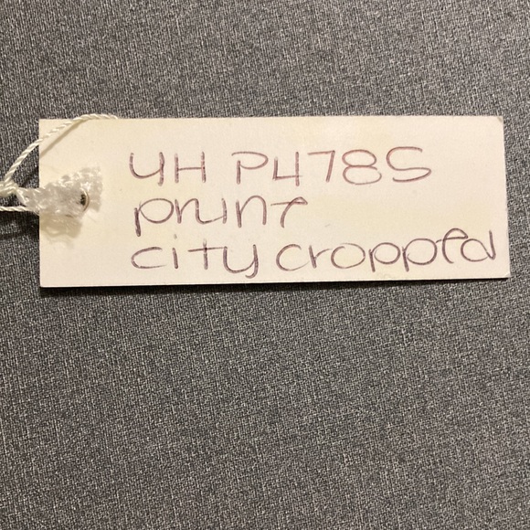 Symmetry cropped trousers floral print, prune color background Size M - Picture 6 of 14